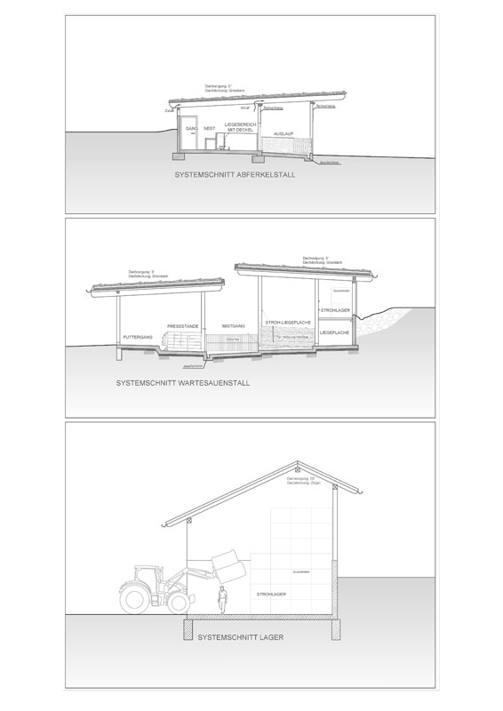 Abferkelstall, Wartesauenstall und Lagergebäude: Schnitte (Quelle: Architekturbüro Holger Fenchel, Meiningen)
